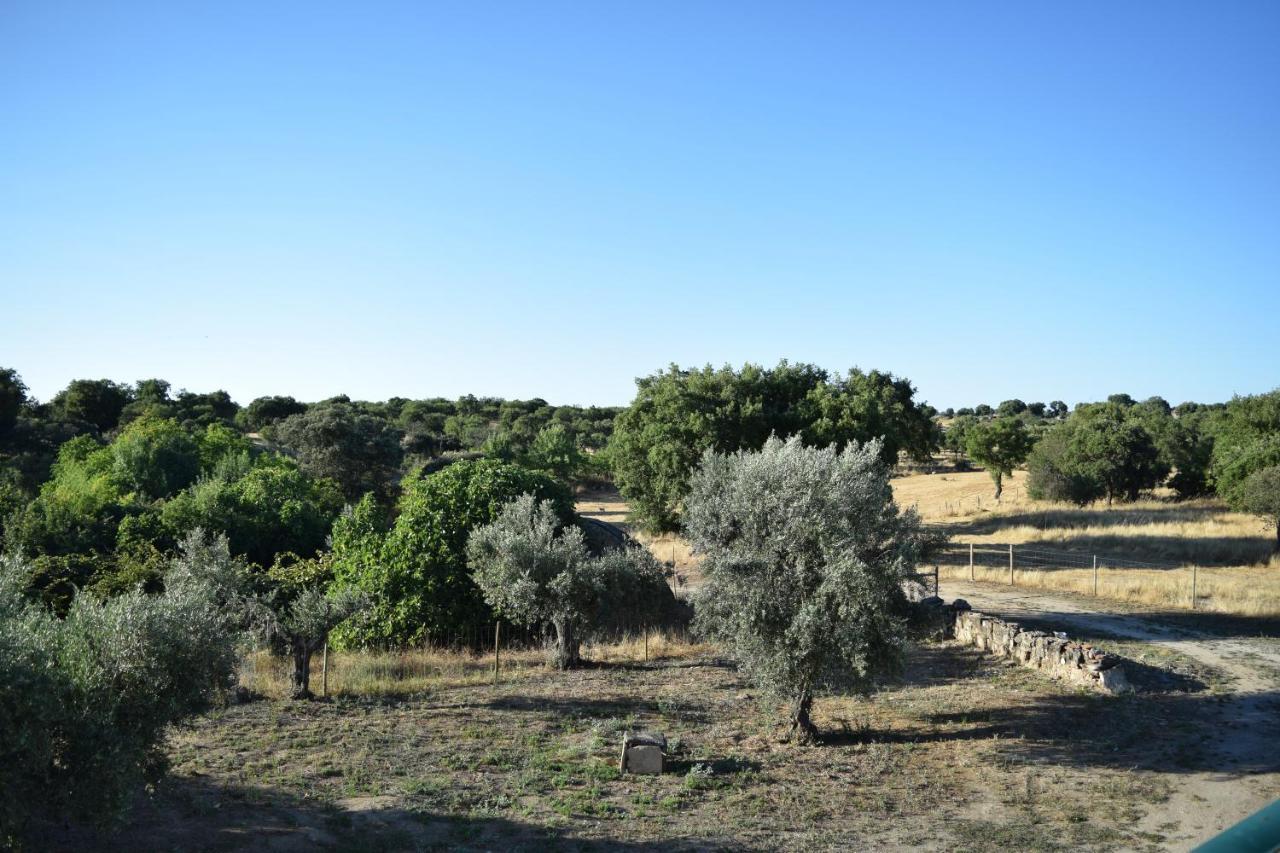 Memsoares Country House Castelo de Vide Extérieur photo