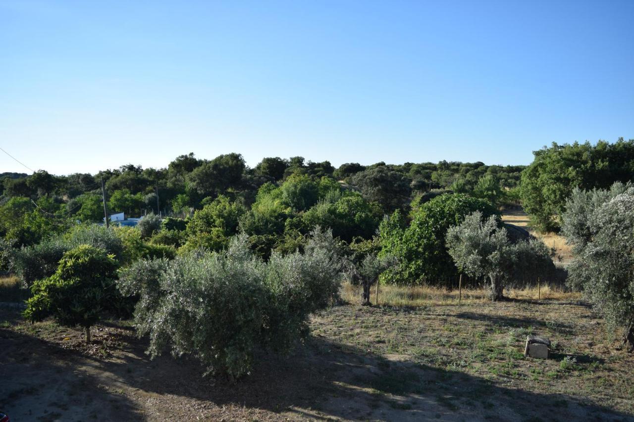 Memsoares Country House Castelo de Vide Extérieur photo